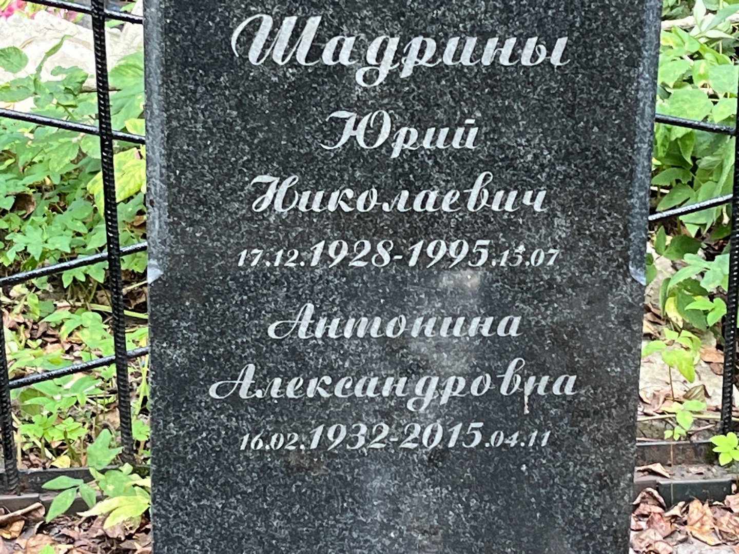 Шадрина Антонина Александровна