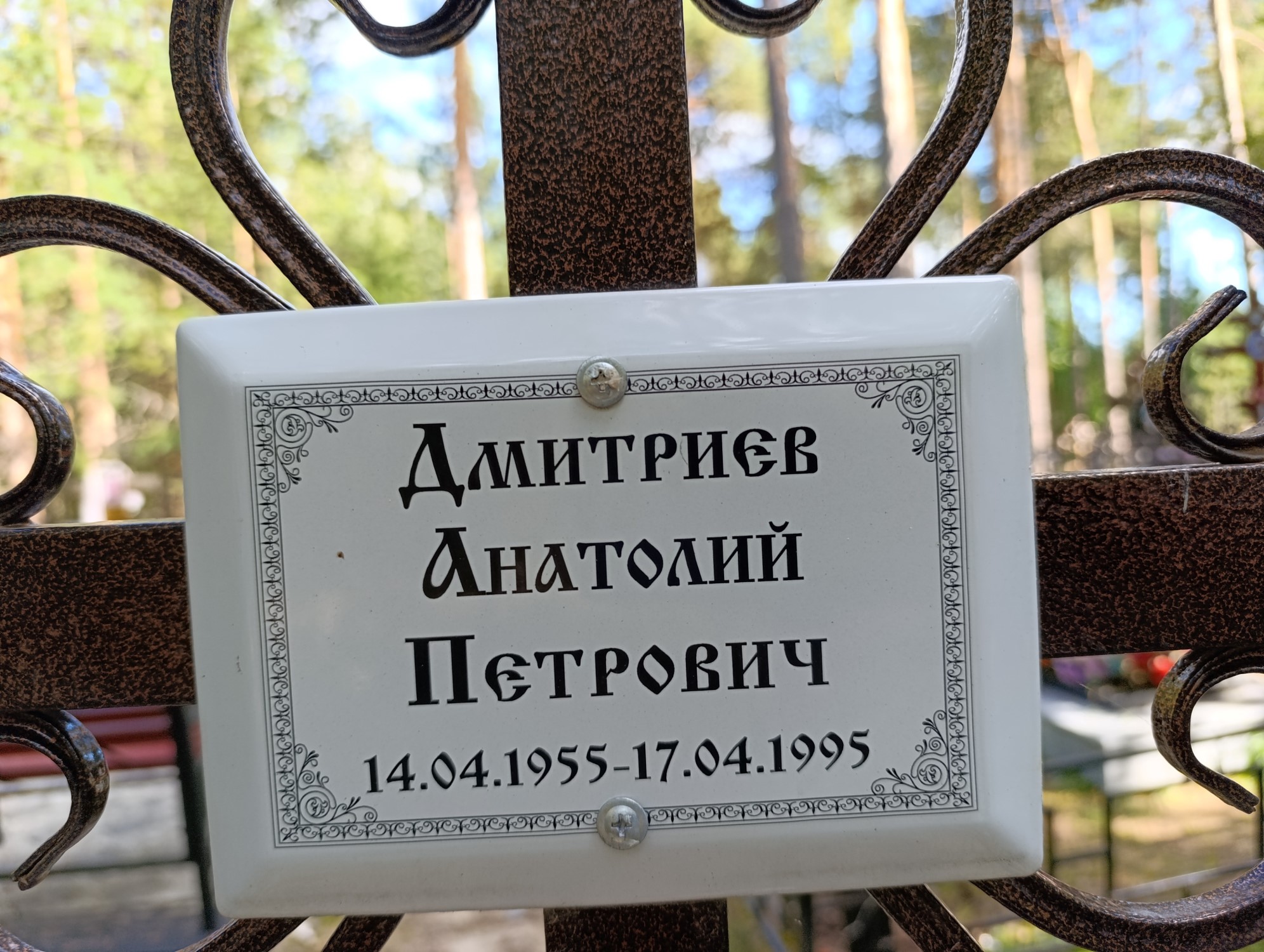 Дмитриев Анатолий Петрович