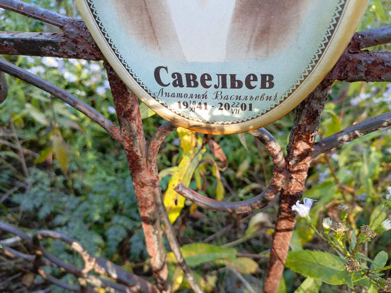Савельев