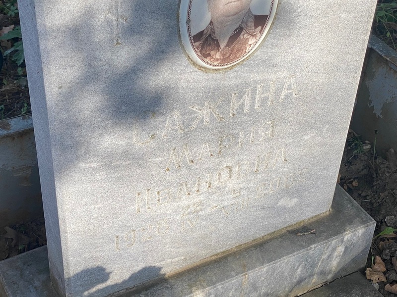 Сажина