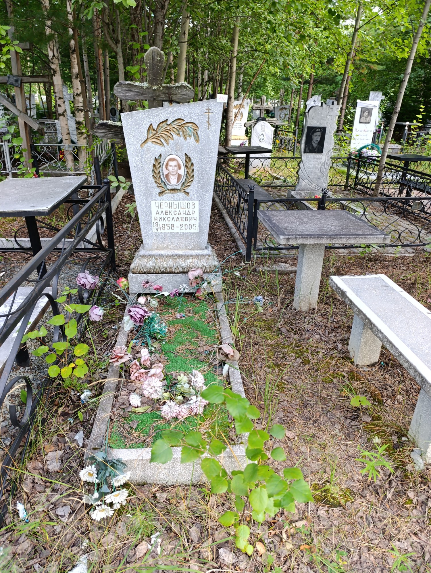 Чернышов Александр Николаевич