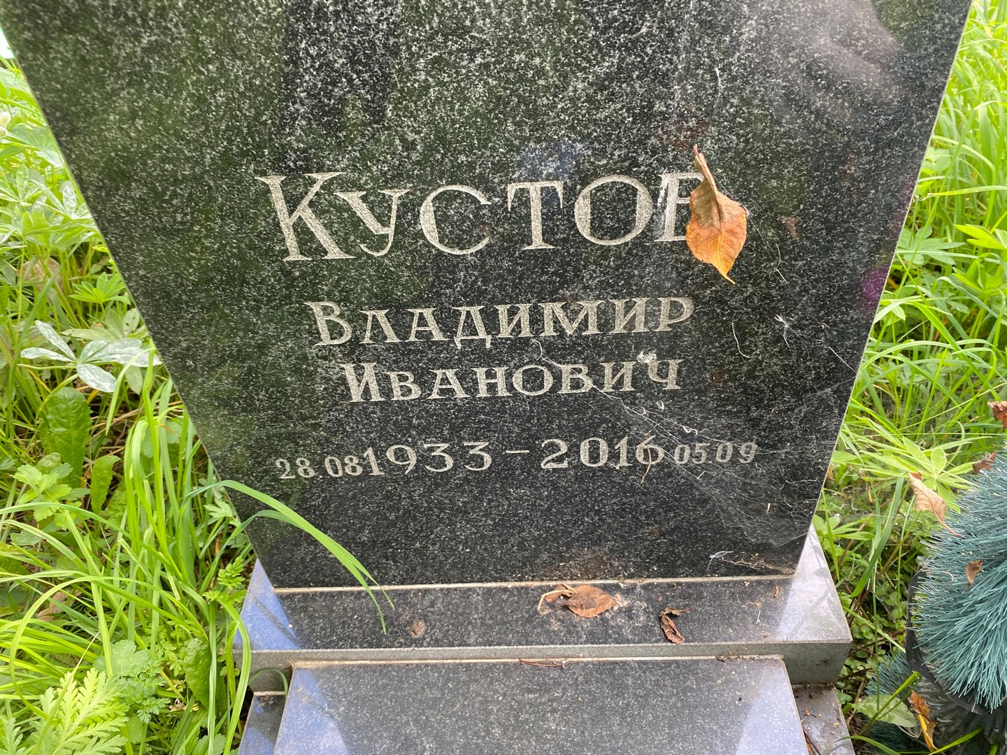 Кустов