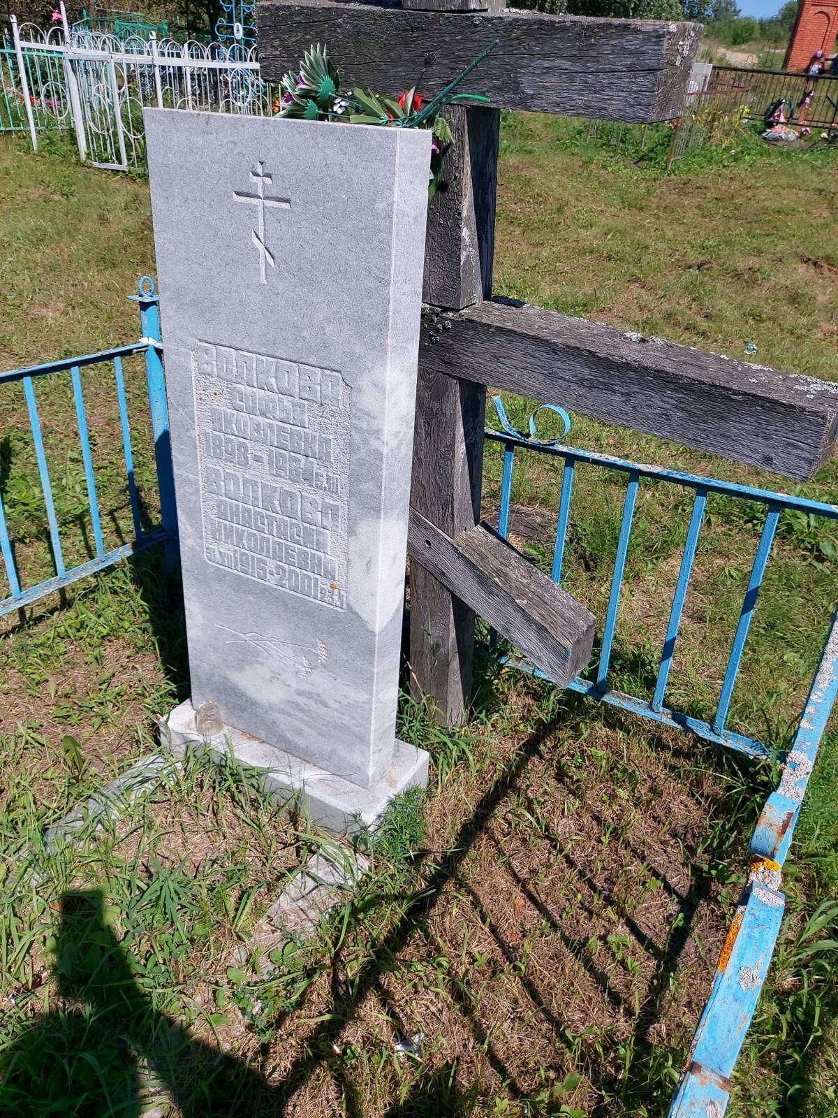 Волкова Анастасия Николаевна