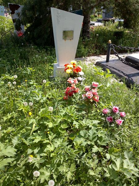 Абрамова Наталья Никитична