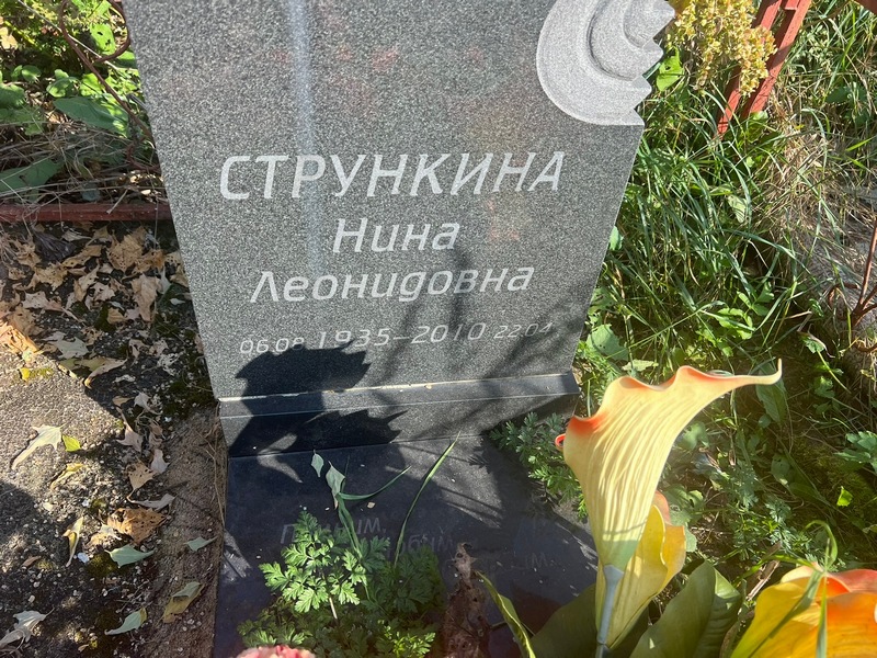 Стрункина