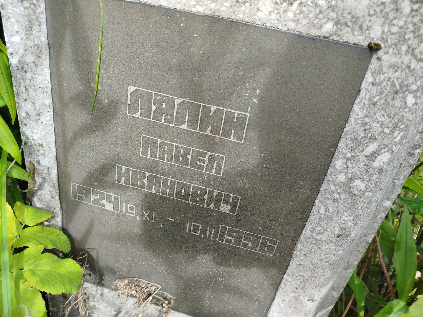Лялин
