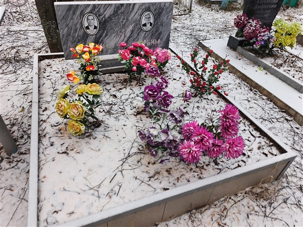 Агафонцева Юлия Павловна