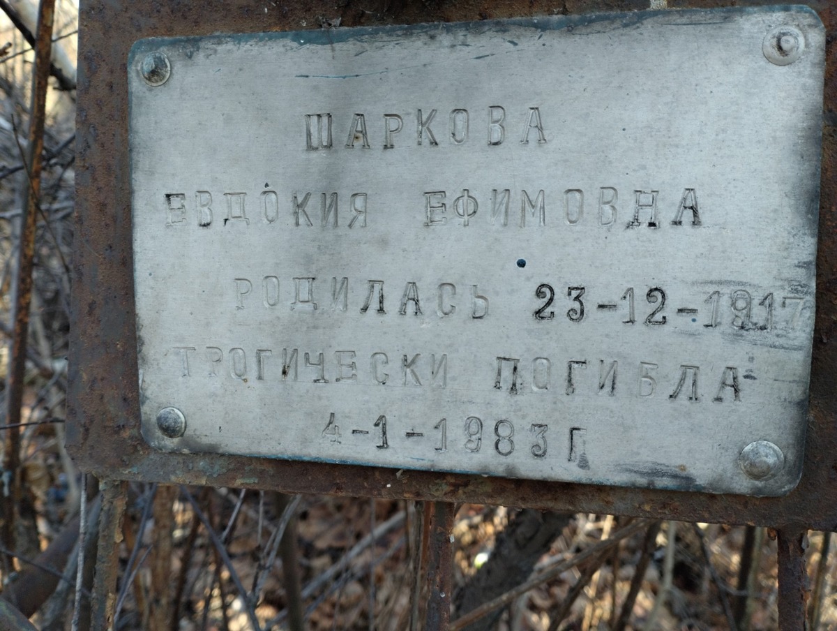 Шаркова Евдокия Ефимовна
