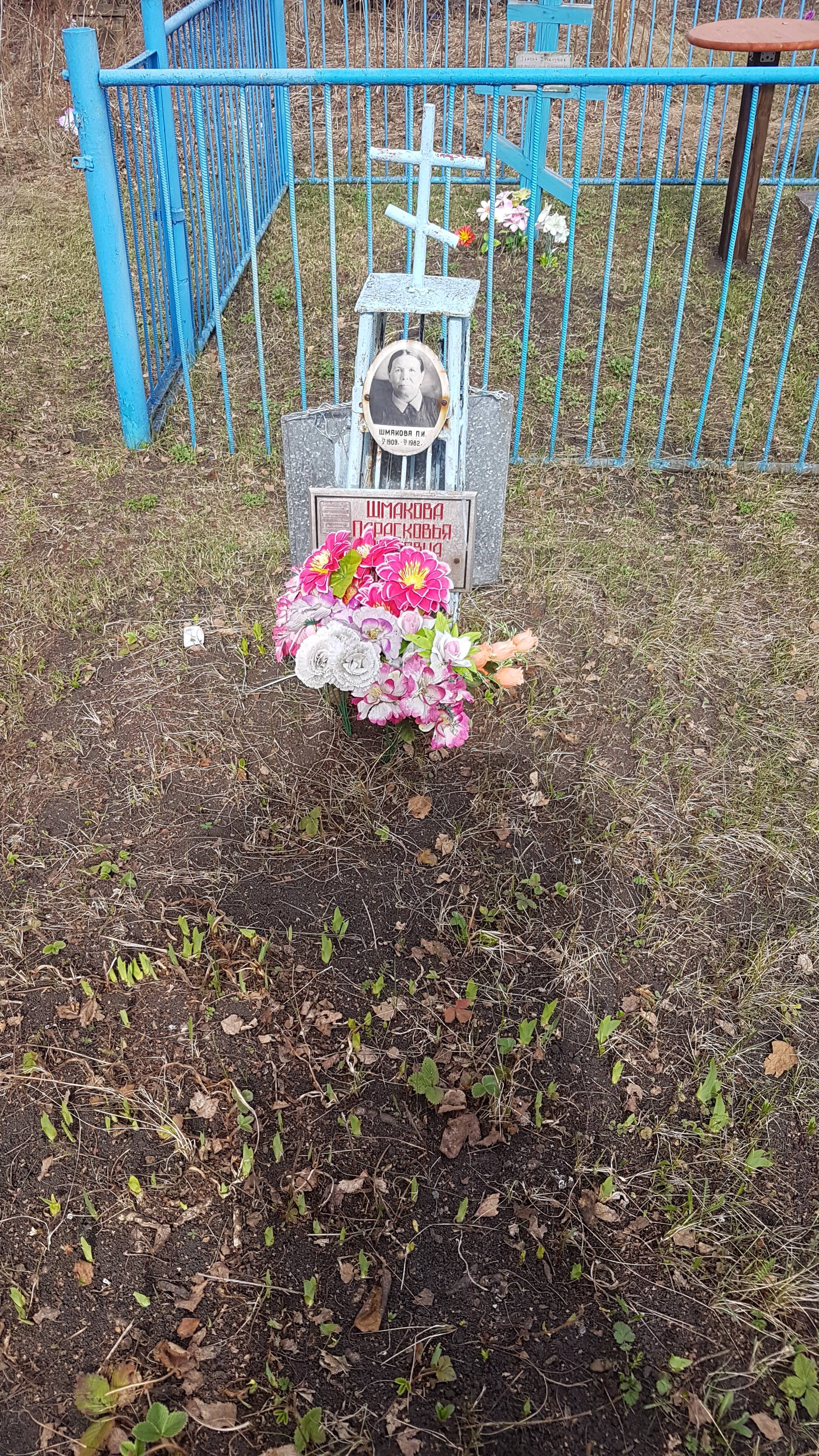Шмакова Парасковья Ивановна