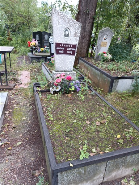 Арапова Анастасия Дмитриевна