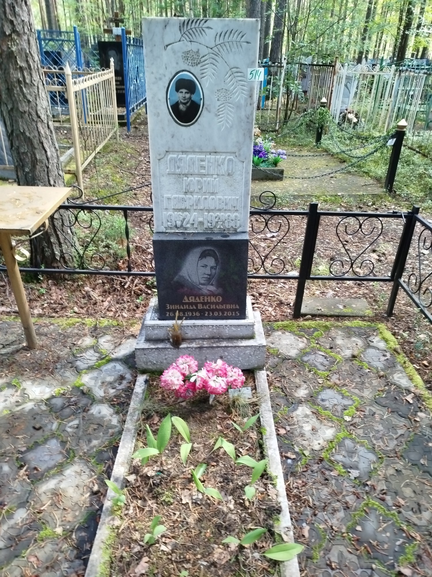 Дяденко Зинаида Васильевна