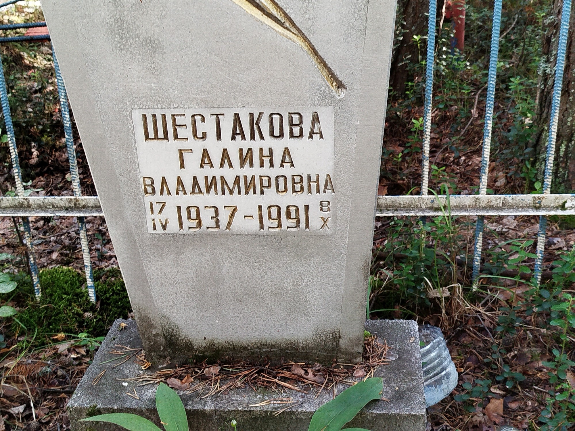 Шестакова Галина Владимировна