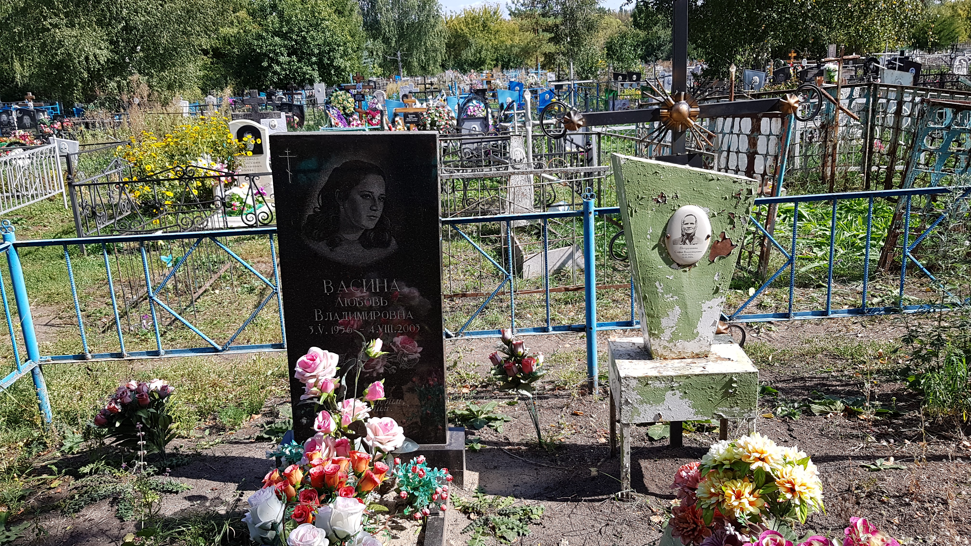 Петрушина Софья Владимировна