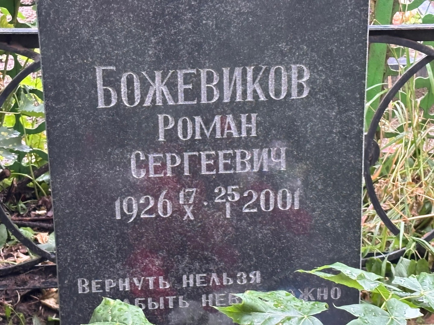Божевиков