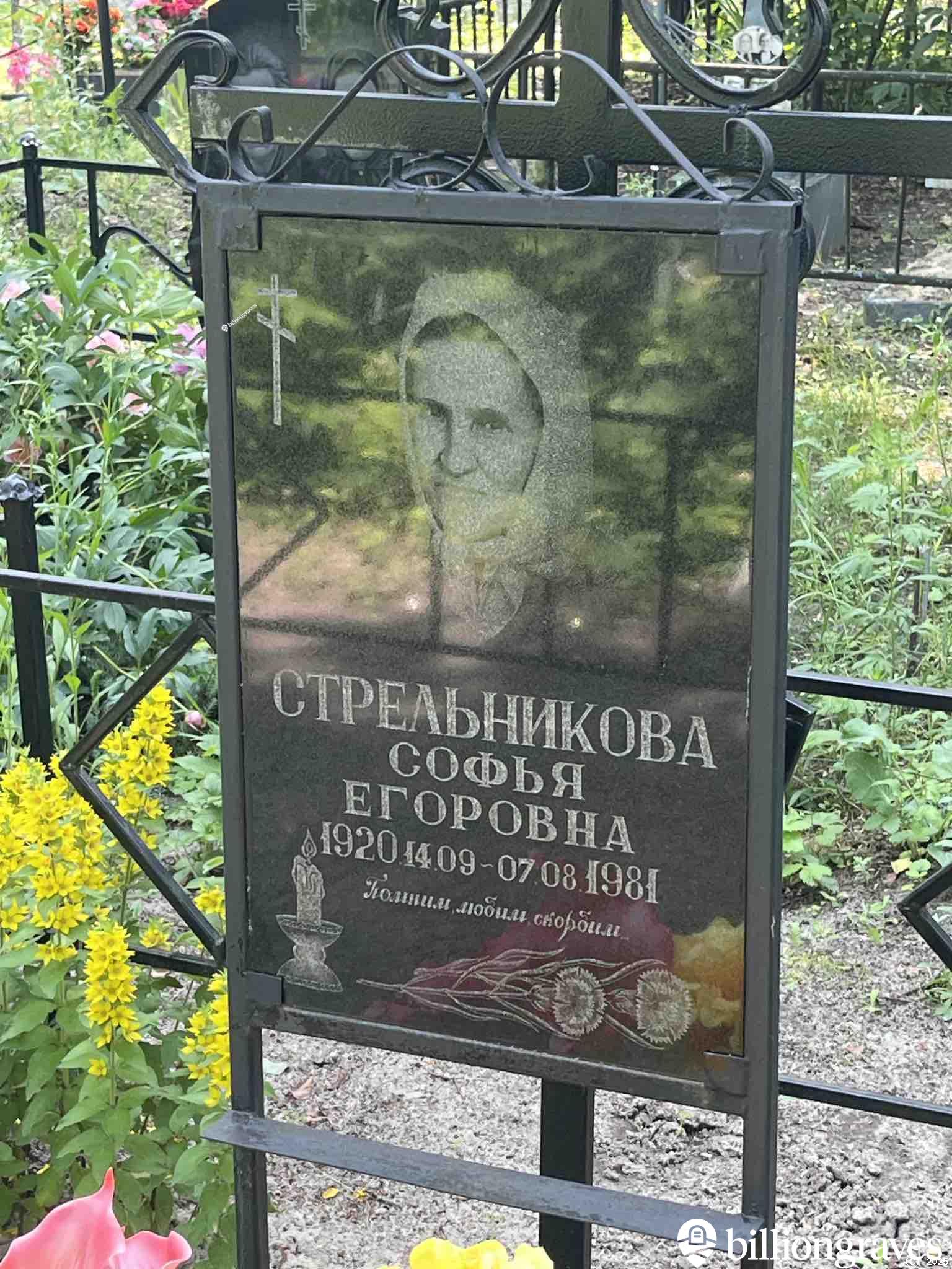 Стрельникова Софья Егоровна