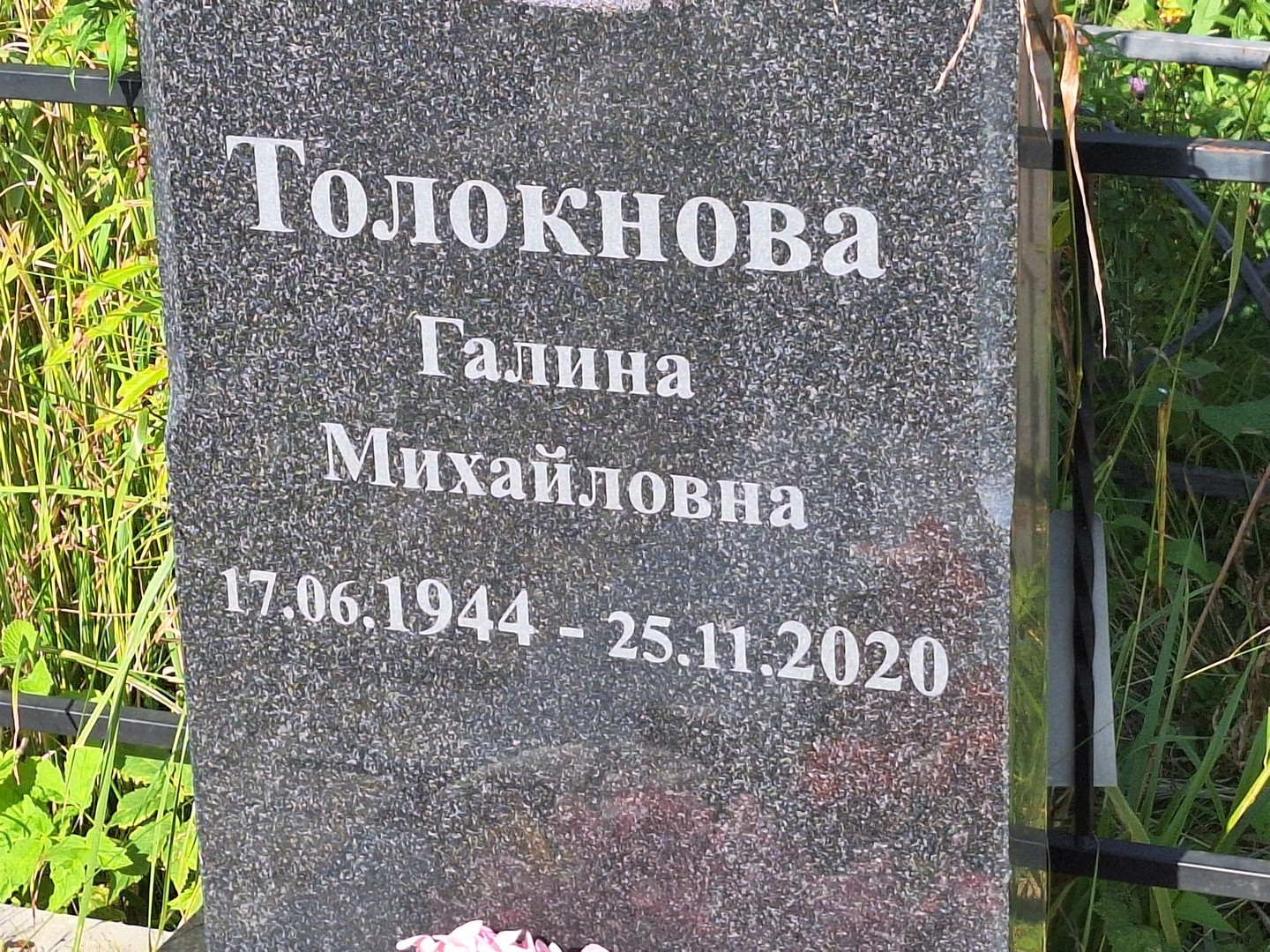 Толокнова