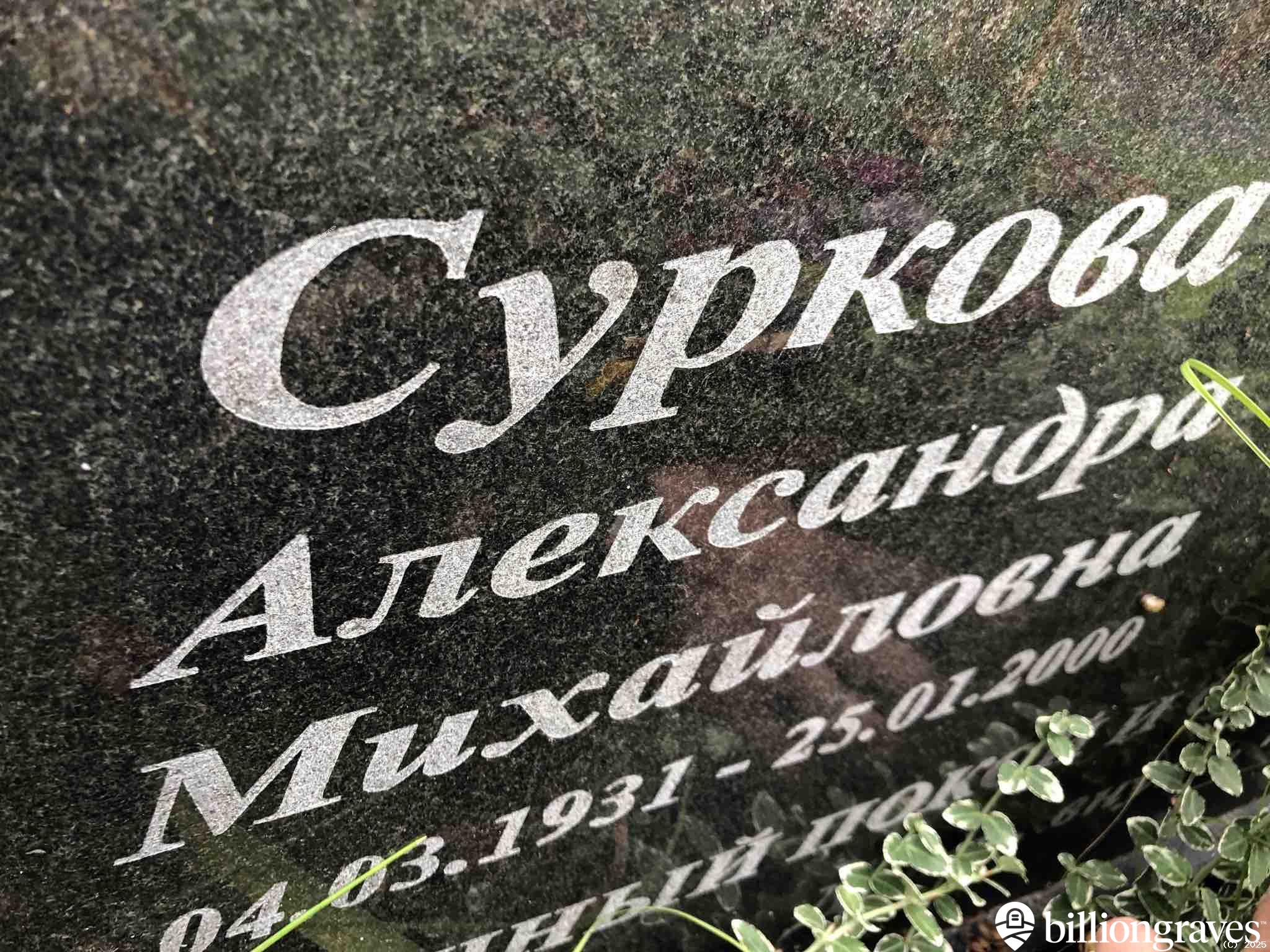 Суркова Александра Михайловна