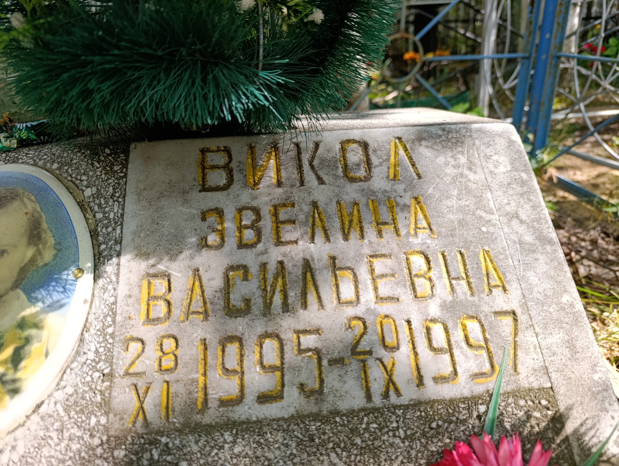 Викол Эвелина Васильевна