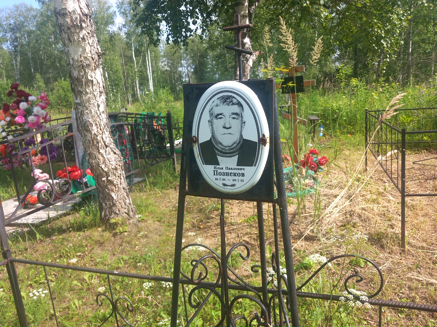 Познеков Илья Павлович