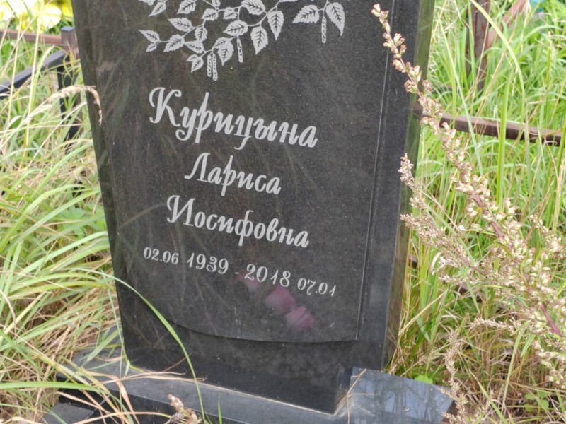 Курицына