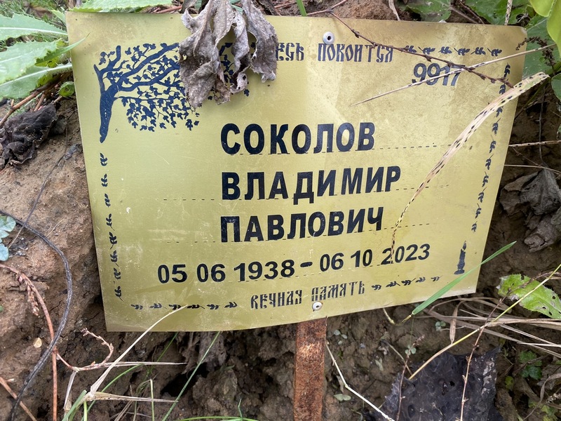 Соколов