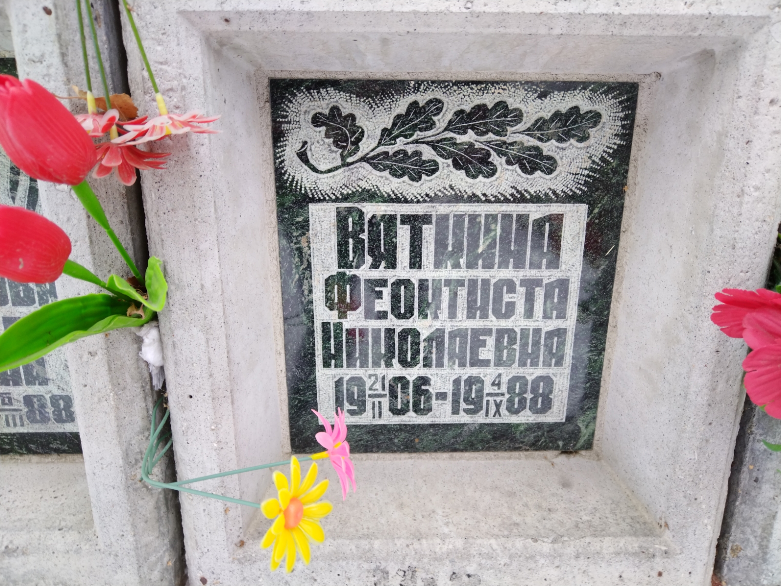 Вяткина Феоктиста Николаевна
