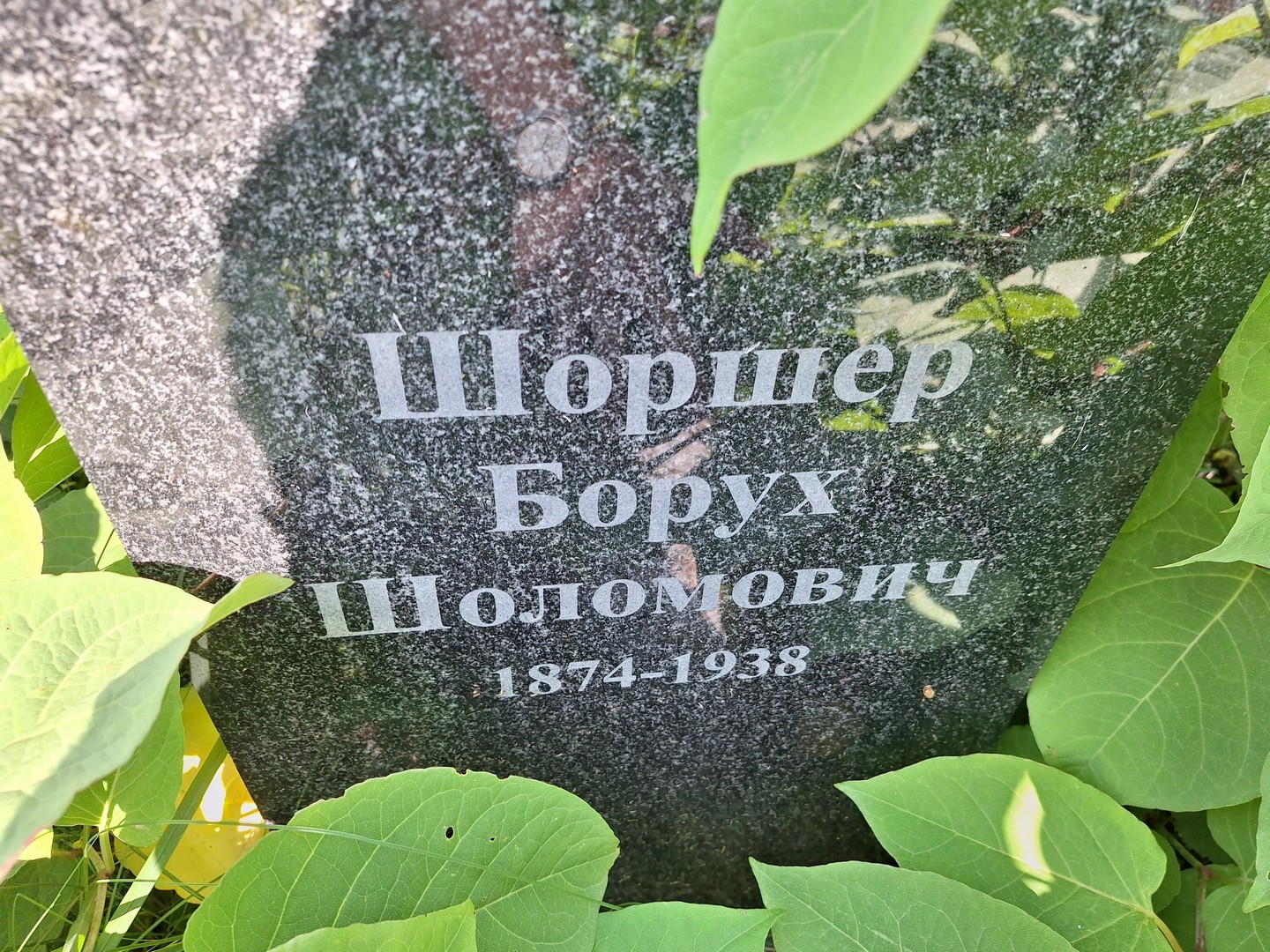Борух Шоршер Шоломович