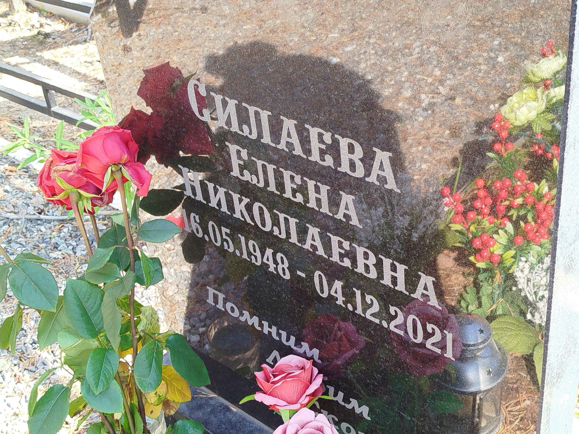 Силаева Елена Николаевна