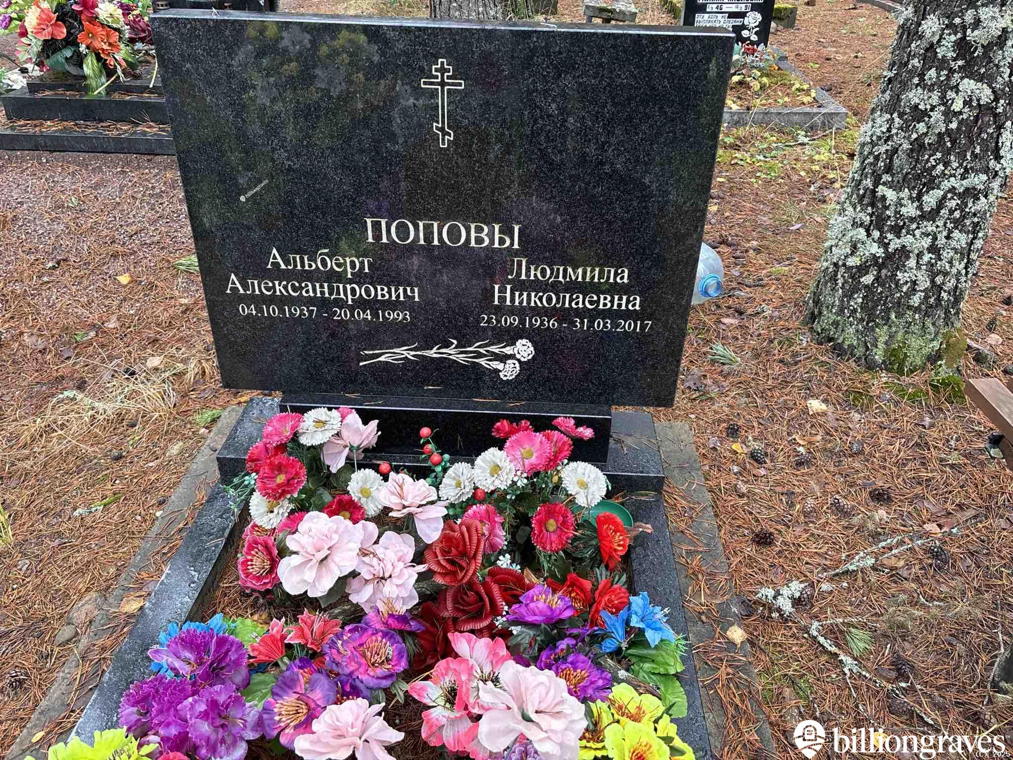 Попов Альберт Александрович