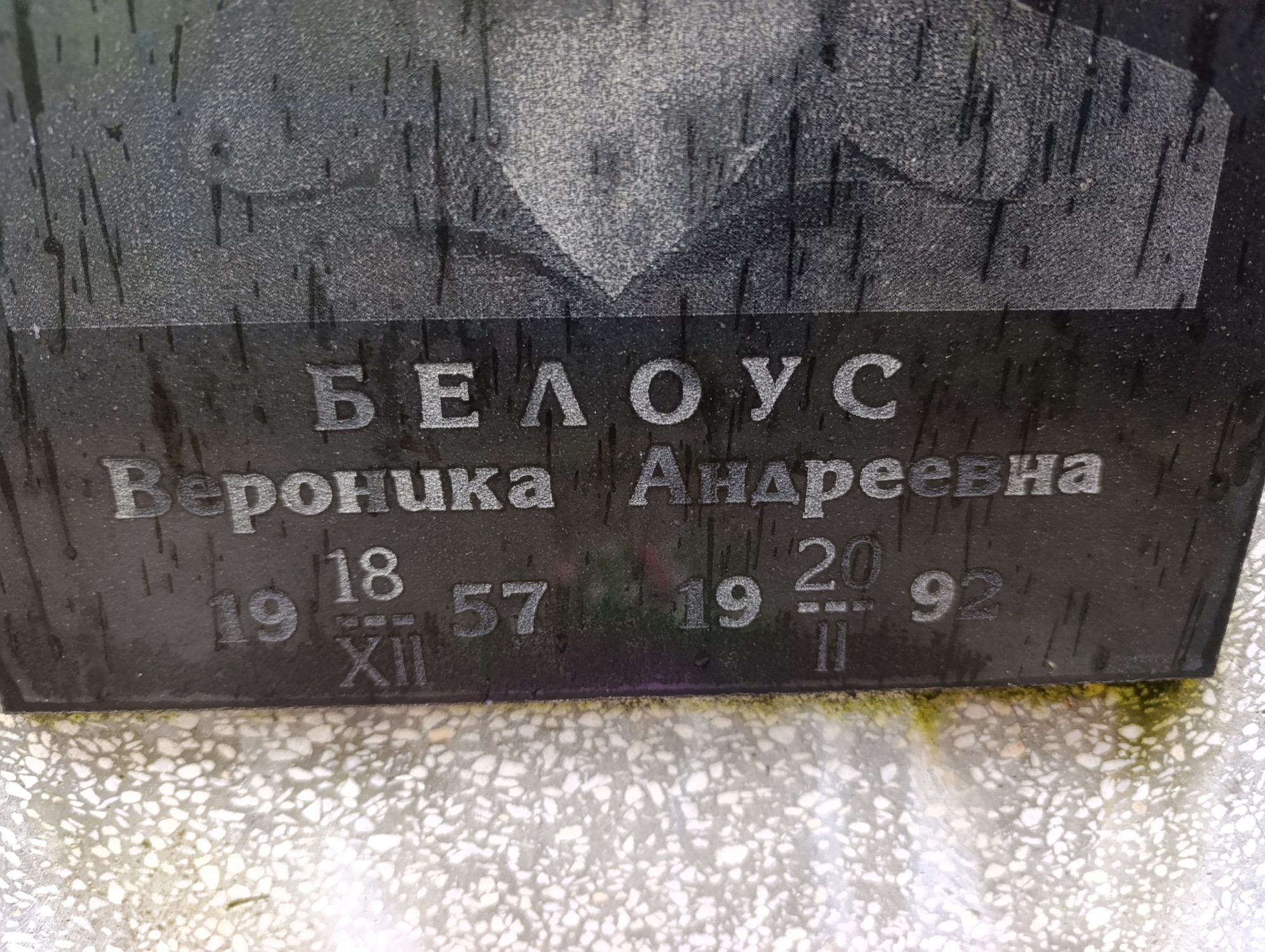 Белоус Вероника Андреевна