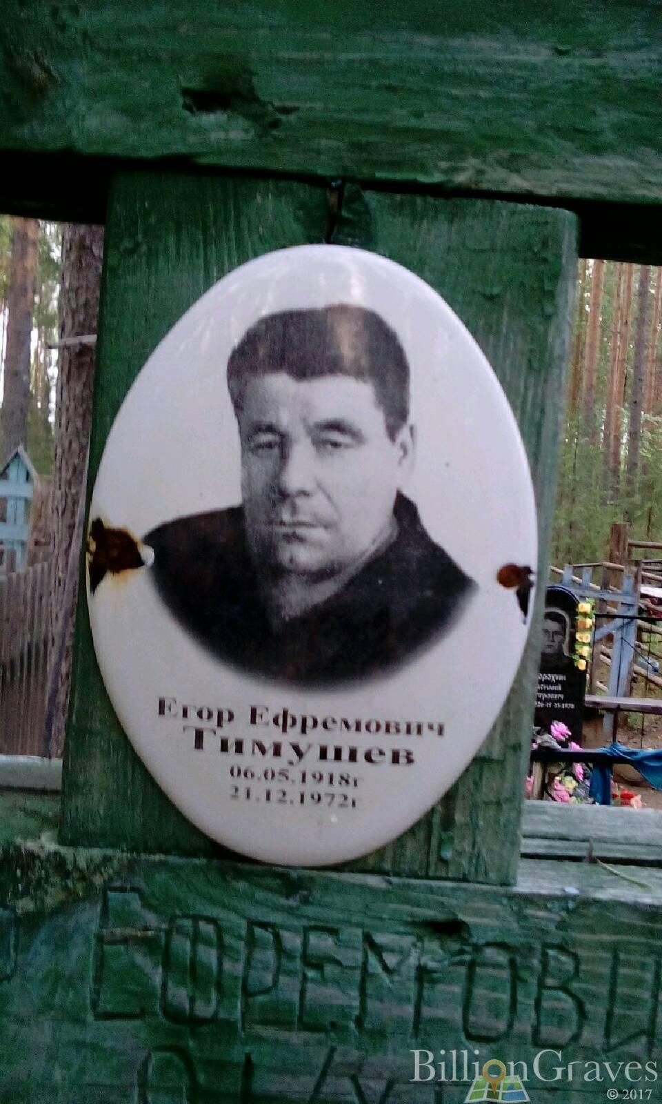 Тимушев Егор Ефремович