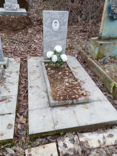 Кошелев Дмитрий Николаевич