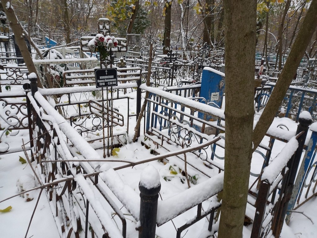Жуковская Лариса Николаевна