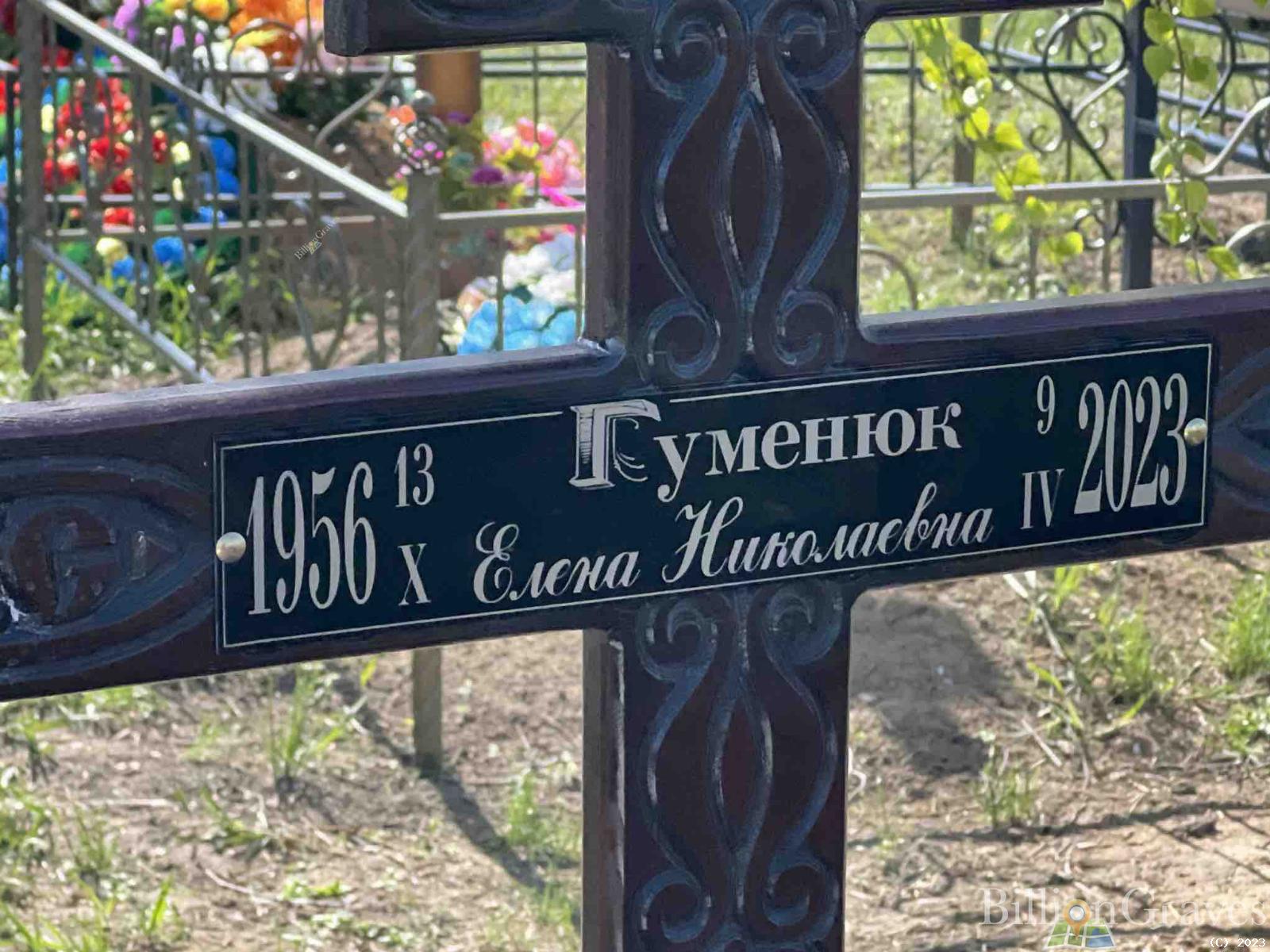 Гуменюк Елена Николаевна