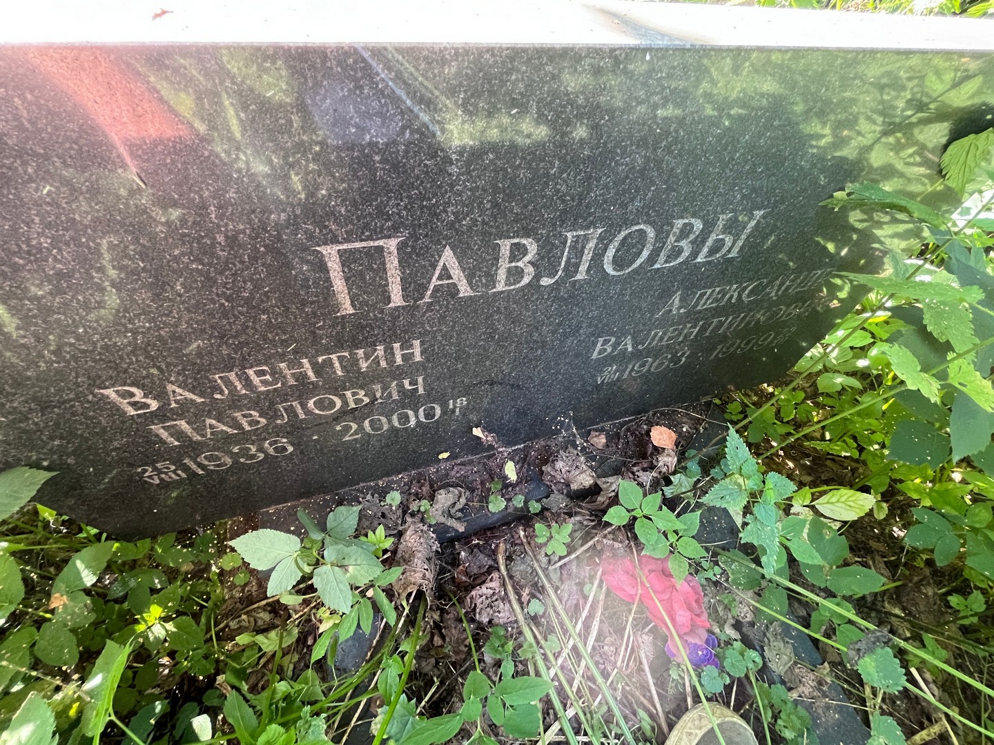 Павлов