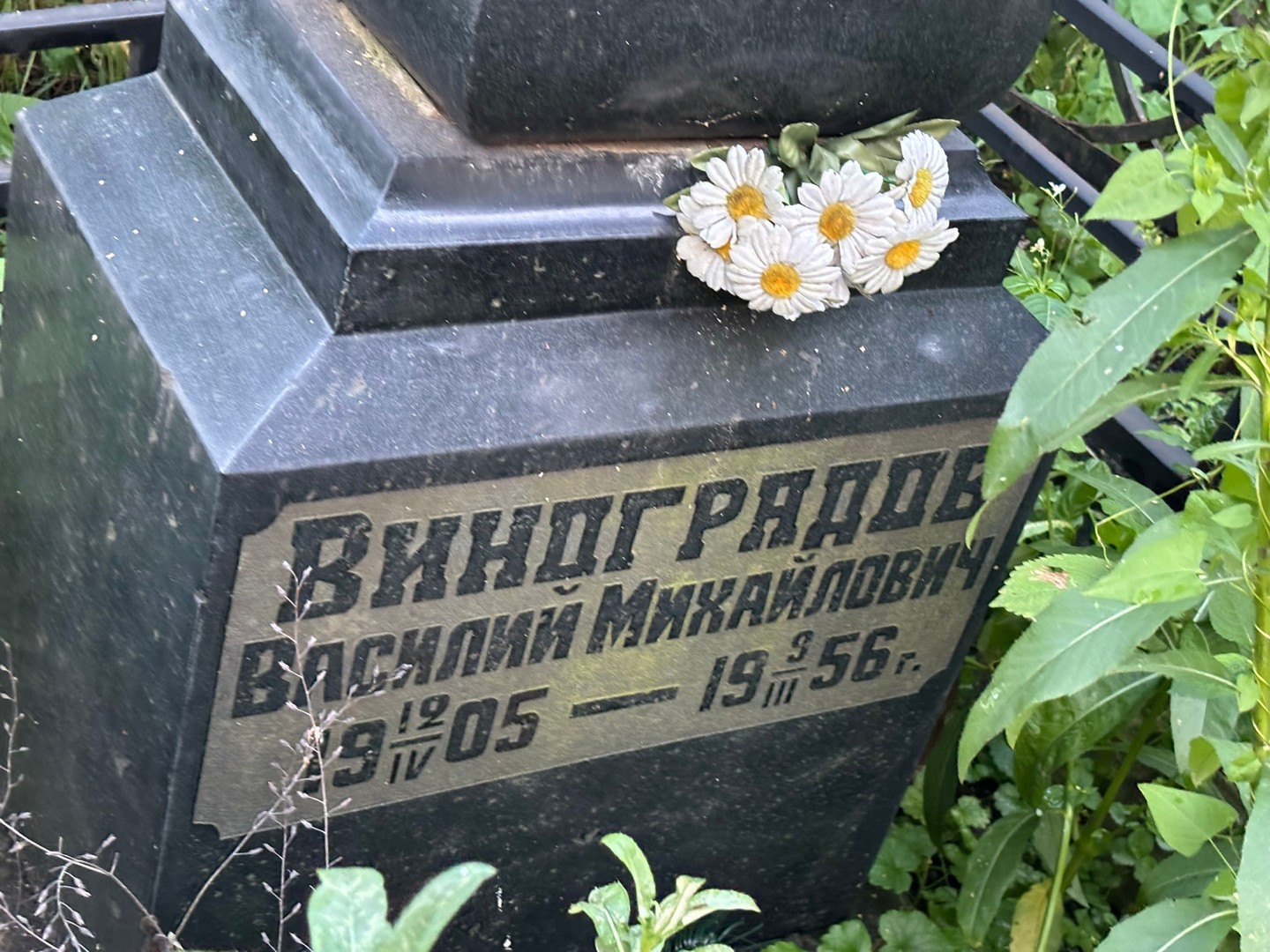 Виноградов