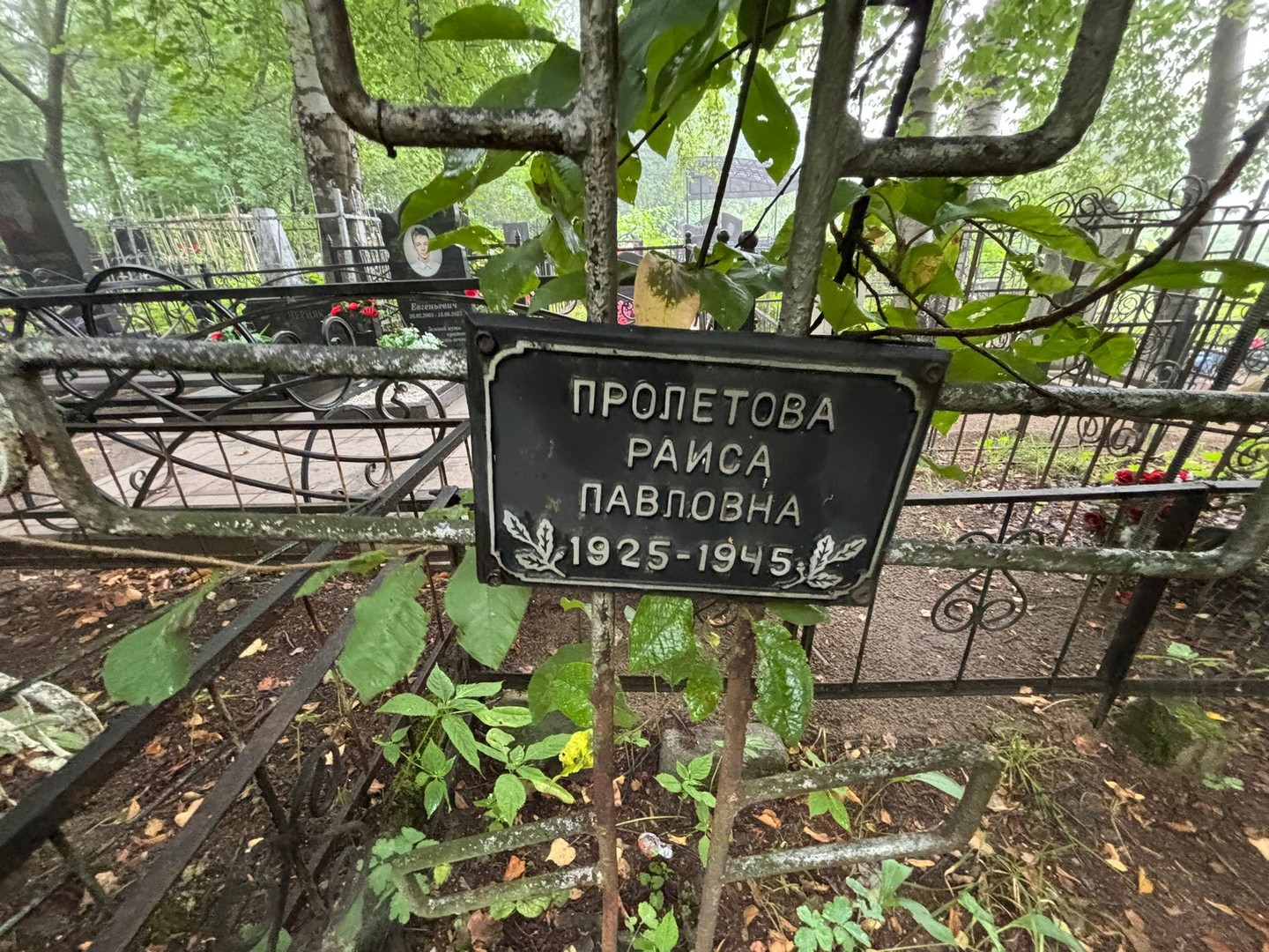 Пролетова