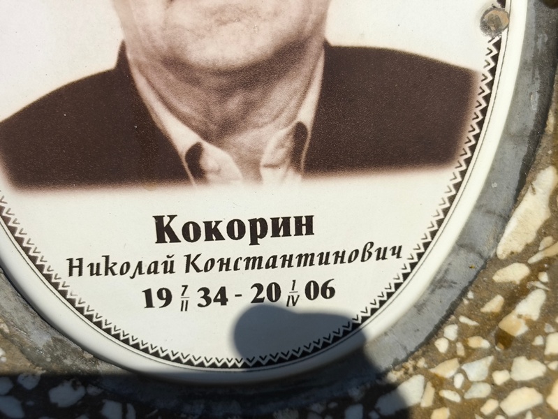 Кокорин