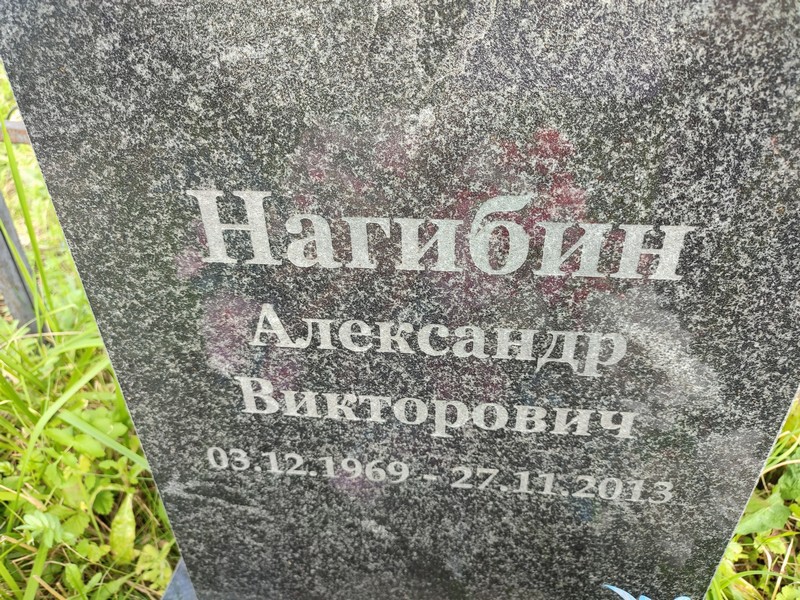 Нагибин