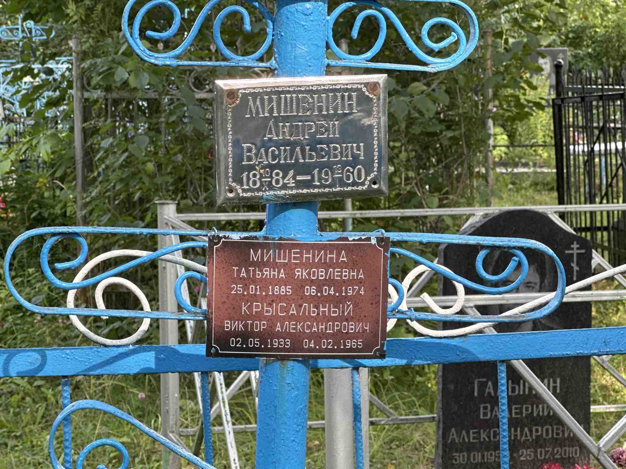 Мишенин Андрей Васильевич