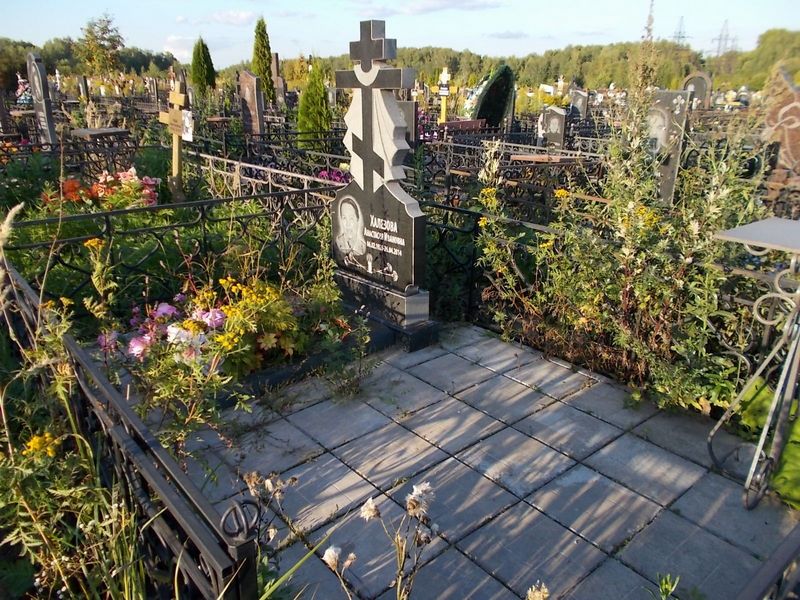 Халезова Анастасия Ивановна