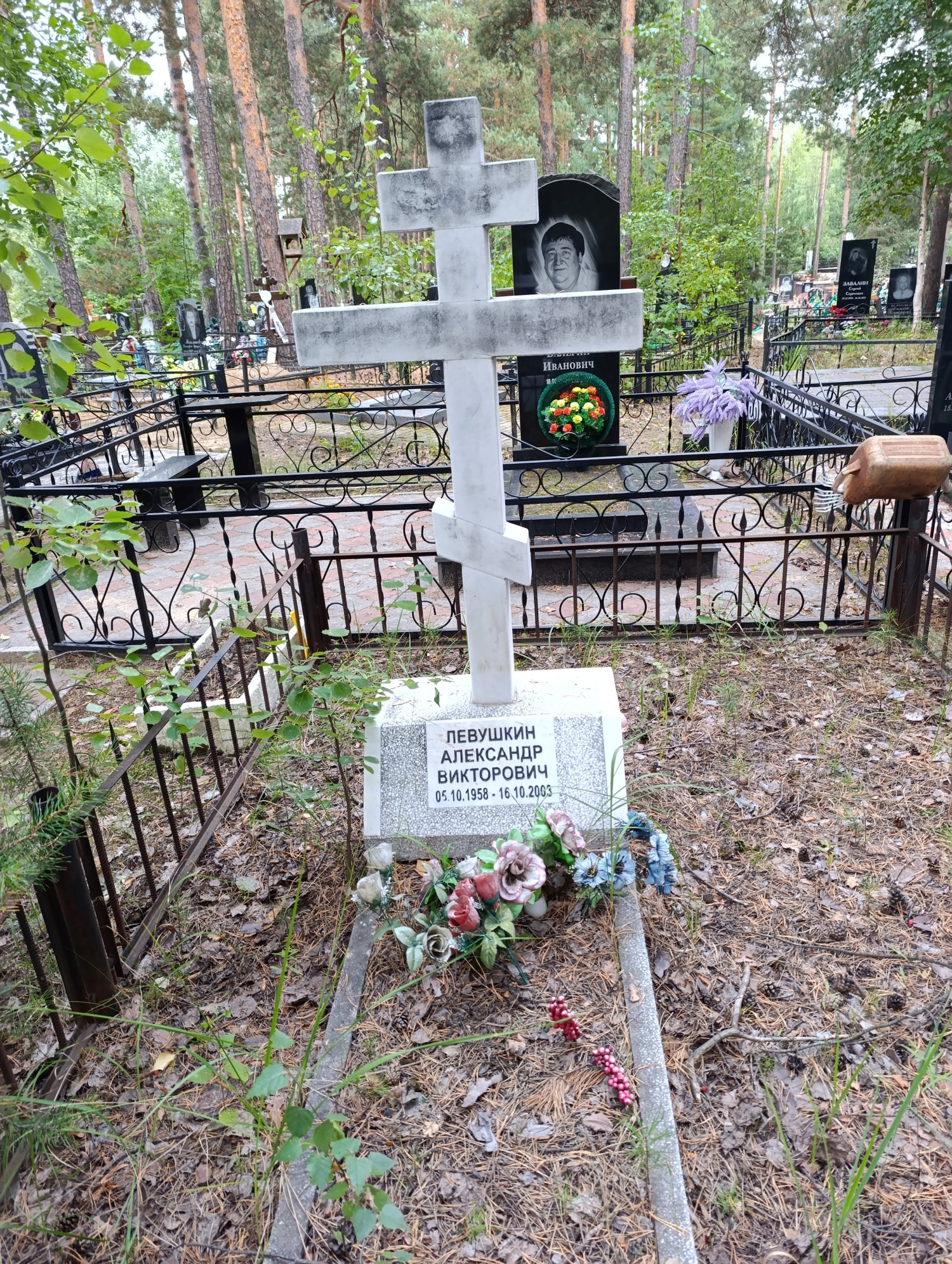 Левушкин Александр Викторович