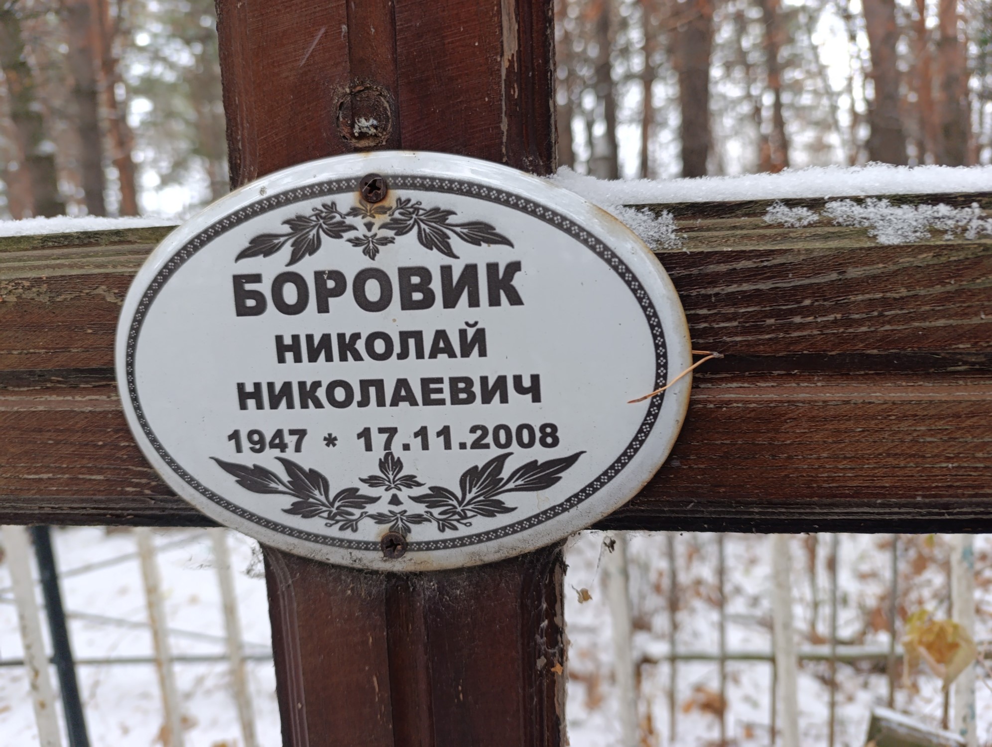 Боровик Николай Николаевич