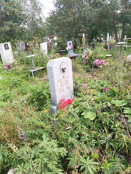 Абрамов Василий Иванович