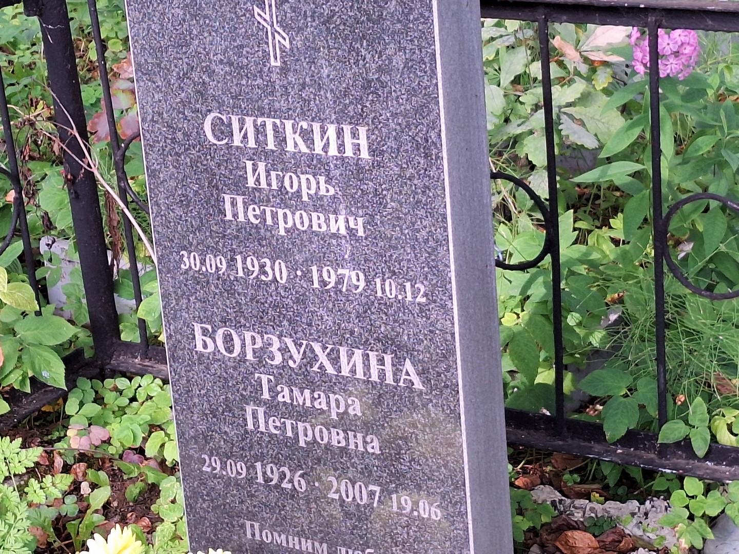 Ситкин