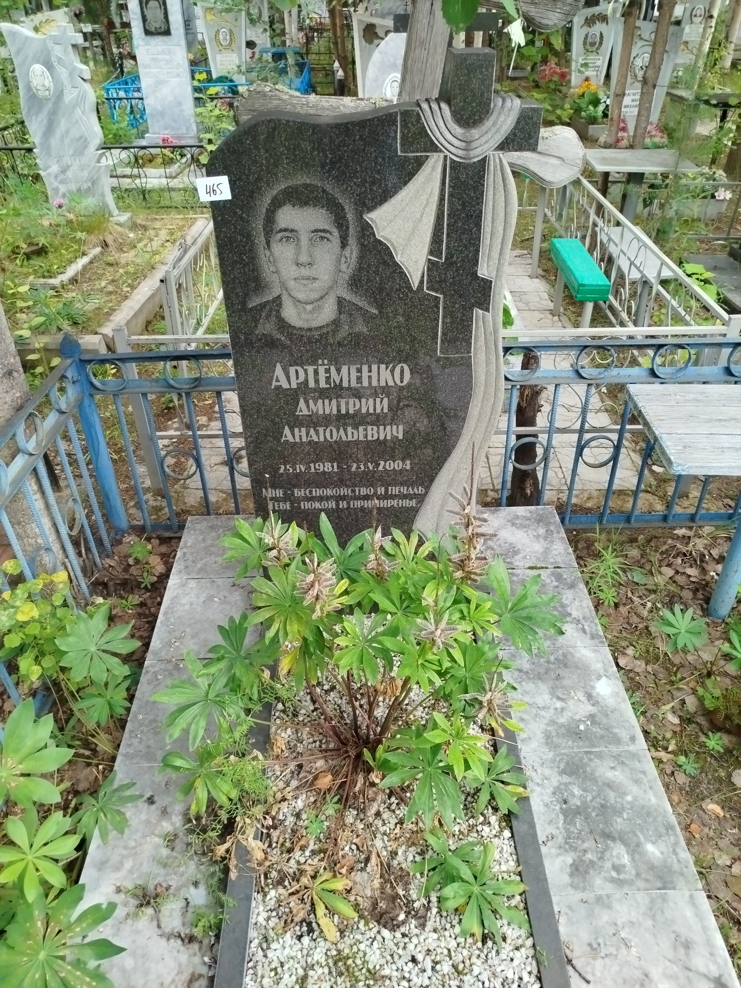 Артеменко Дмитрий Анатольевич