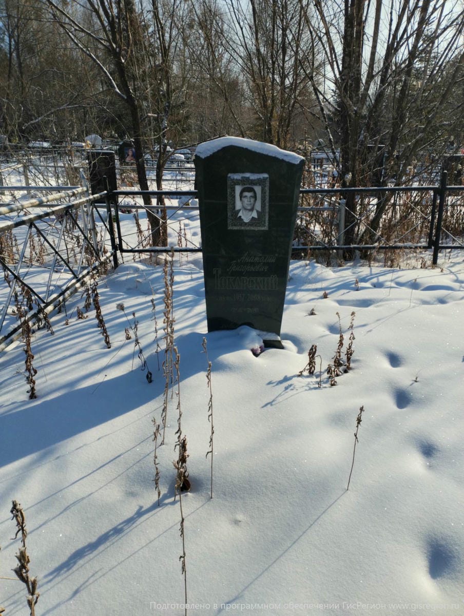Токарский Анатолий Григорьевич