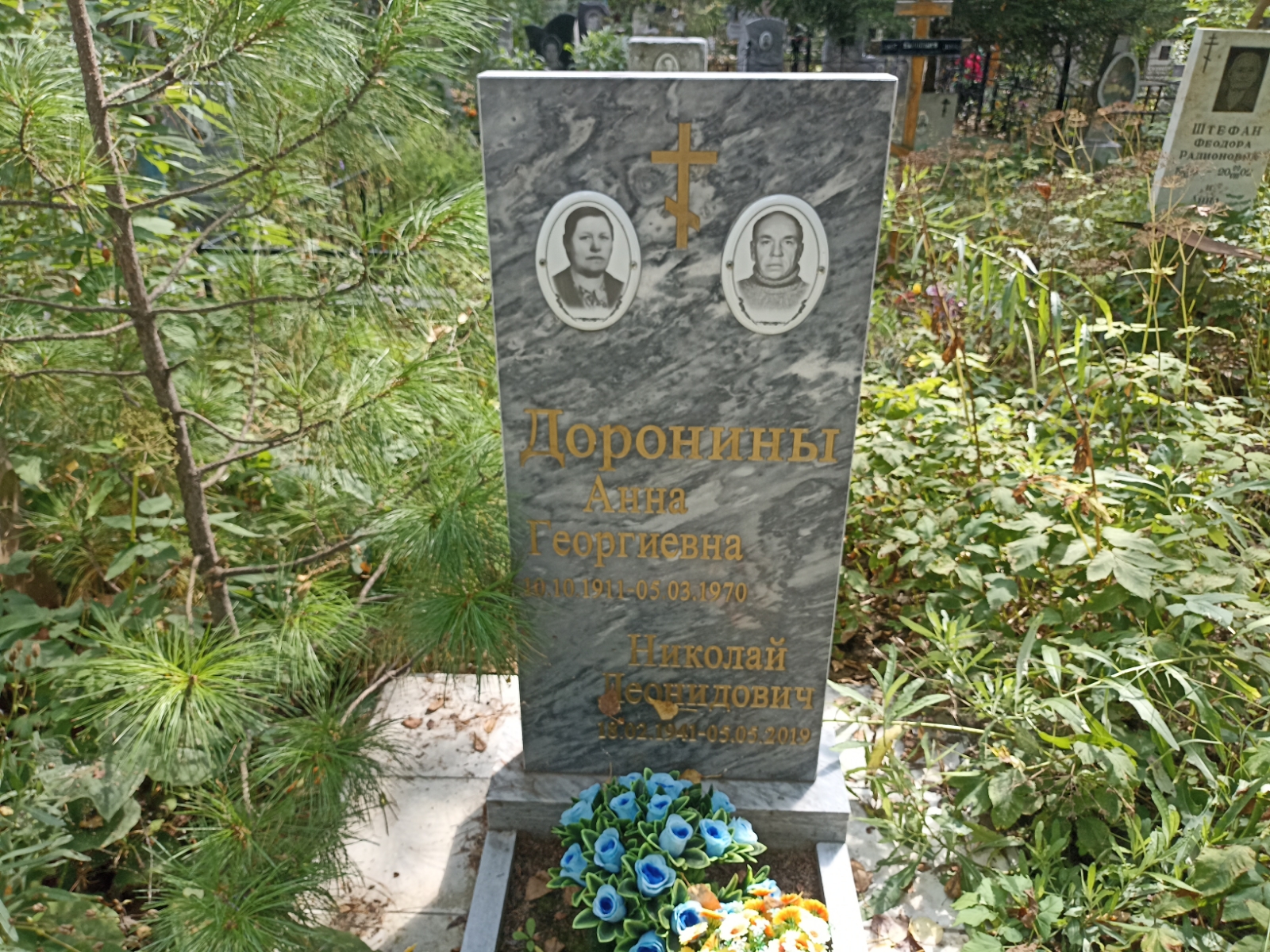 Доронина Анна Георгиевна
