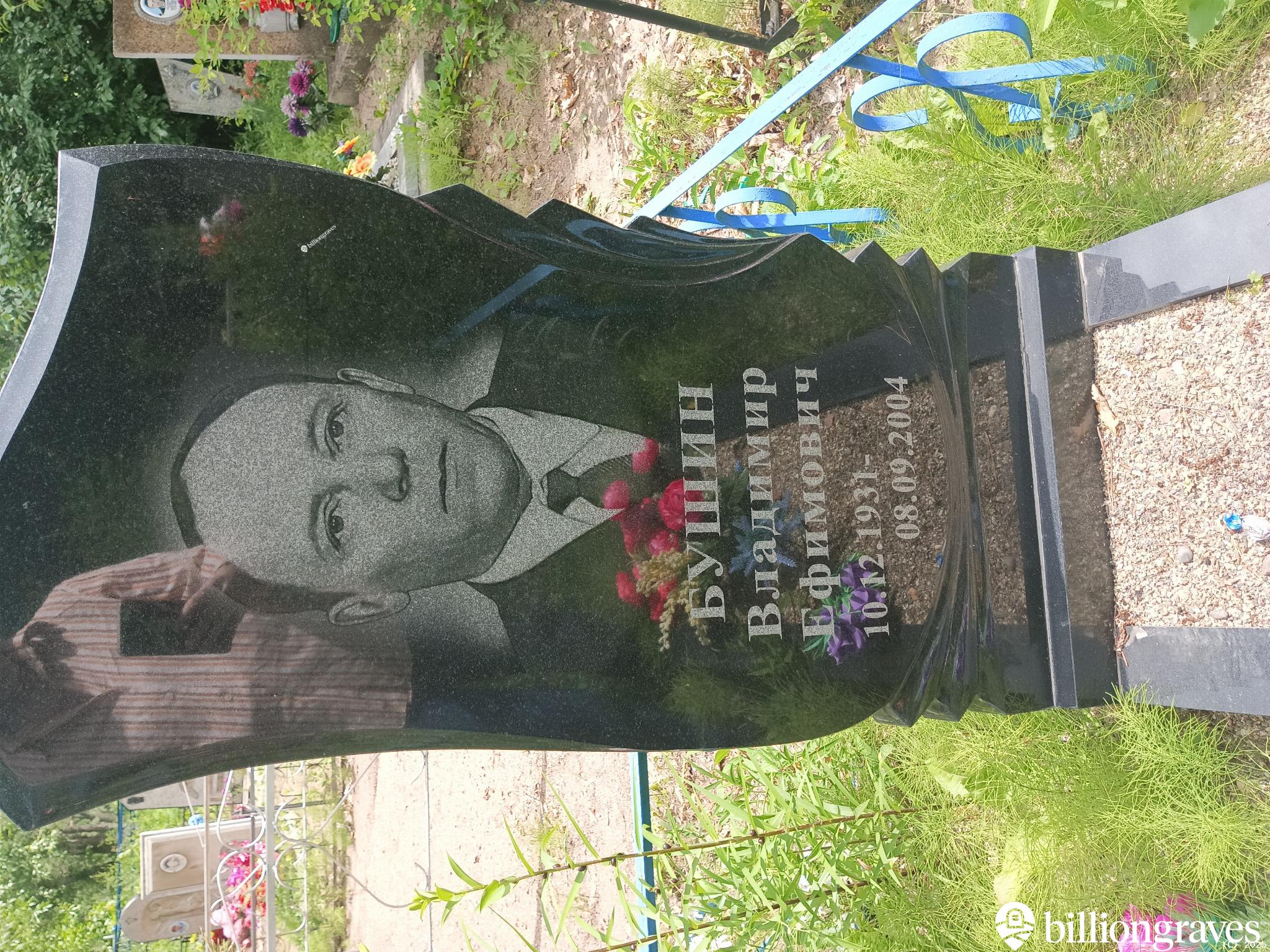 Бушин Владимир Ефимович