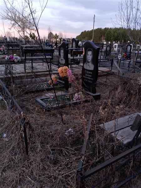 Дубинин Николай Алексеевич